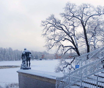 in the park / ***