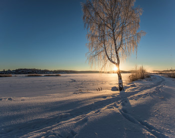 Winter Lake / ***