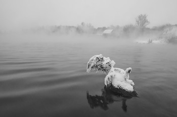 Angels and Demons / ***