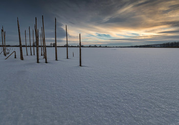 Frozen pond / ***