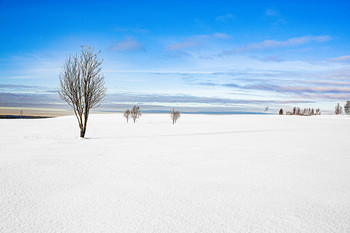 Winter landscape / ***