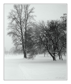 Winter etude / ***