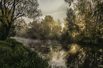 &nbsp; / 08.10.2017.