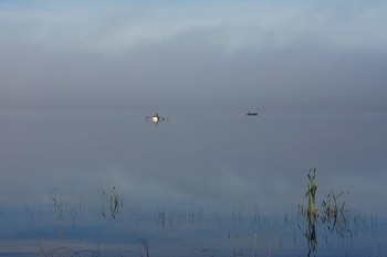in weightlessness / ***
