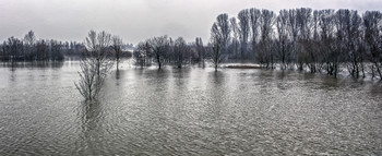 High Water / ***
