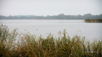 Fog dissipates / https://vk.com/e.vaguro

https://www.instagram.com/vaguro_v_u_v/

https://web.facebook.com/evgeniy.vagouro

https://www.pexels.com/ru-ru/@10472344