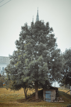 Fog dissipates / https://vk.com/e.vaguro

https://www.instagram.com/vaguro_v_u_v/

https://web.facebook.com/evgeniy.vagouro

https://www.pexels.com/ru-ru/@10472344