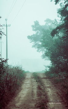The smell of autumn / https://vk.com/e.vaguro

https://www.instagram.com/vaguro_v_u_v/

https://web.facebook.com/evgeniy.vagouro

https://www.pexels.com/ru-ru/@10472344