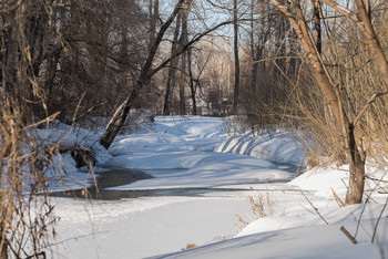 The river in winter / ***