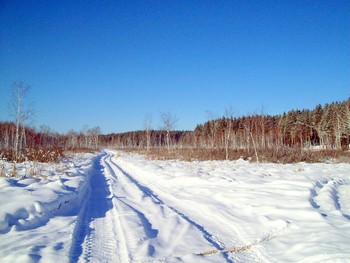 Winter road / ***