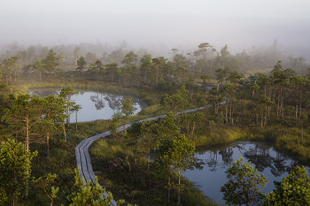 Walk in the fog / ***