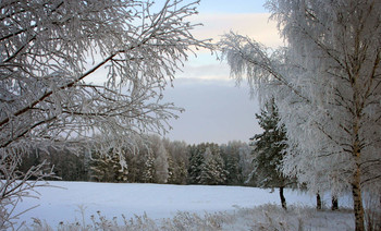 Winter evening. / ***