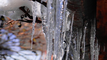 icicles / ***