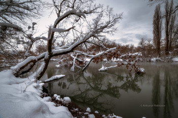 winter walk / ***