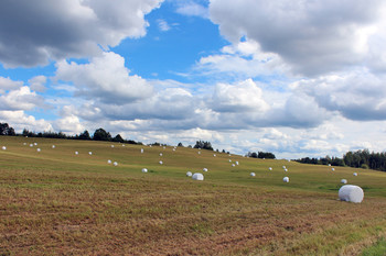 Autumn Field / ***