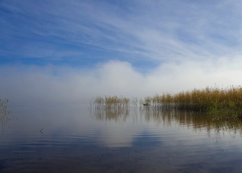Misty / ***