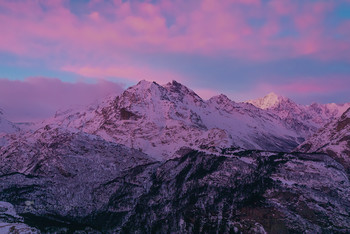 Pink Dawn / ***
