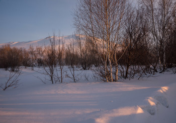 Evening light / [img]https://i.imgur.com/KwTxMyQ.jpg[/img]
