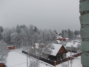 view from the window / ***