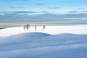 Winter landscape / ***