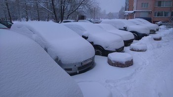 Morning in February / ***