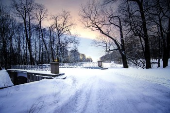 An evening walk / ***