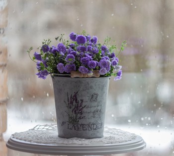 Winter rain / ***