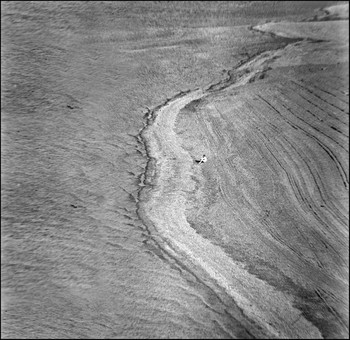 Dialogue / ***