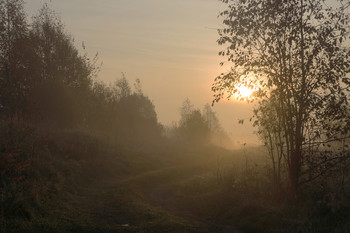 Autumn / ***