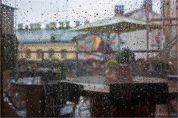Window / ***