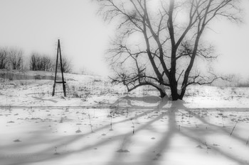 Winter sketches / ***