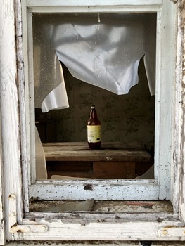 Life after life / ***