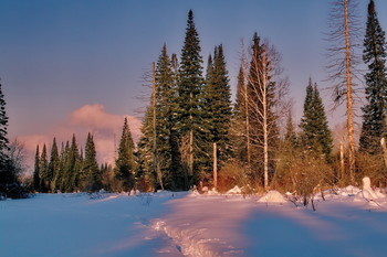 Winter evening. / ***