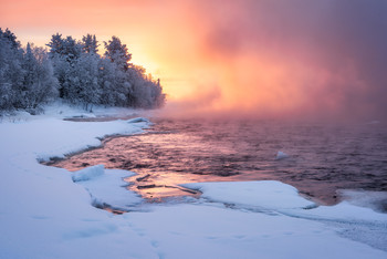 In pursuit of dawn / ***