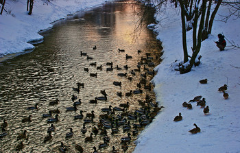 Evening light ... / ***