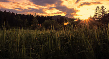 Evening / ***