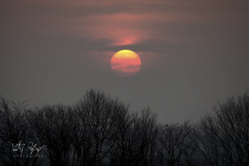 Wintersonne / Sonnenuntergang im späten Winter