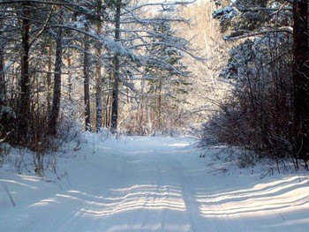 Winter road / ***