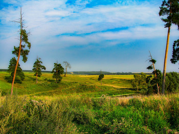 expanse of summer / ...