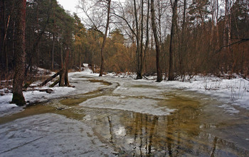 &nbsp; / ***