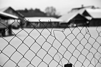 Bezmolvie / ***