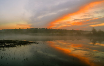 Reflection / ***