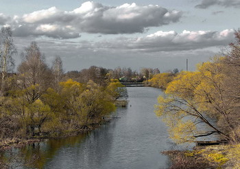 spring landscape / ***