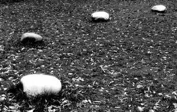 A time to gather stones ... / ***