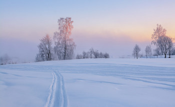 Winter dawn. / ***