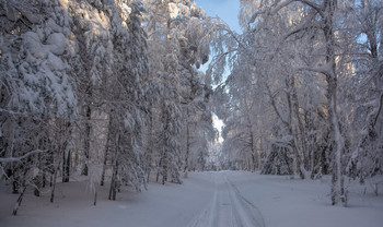 Snow Alley / ***