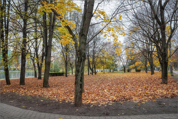 In the fall the park ... / ***