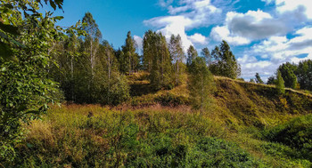 A little bit of summer. / ...