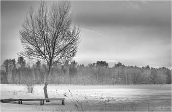 Frozen pond / ***