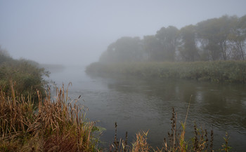 October fogs / ***